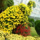 동래원예고등학교 이미지