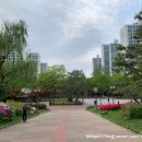 샛별아파트경로당 이미지