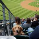 럭키세븐 이미지