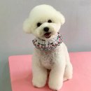 아이케어 동물병원 이미지