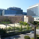 서울우면초등학교 이미지