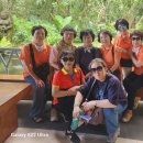 Monkey Forest(26.3.6) 이미지