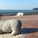 설도주유소 Daum카페