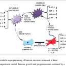 Re:Re: Metabolic Reprogramming of Cancer Associated Fibroblasts: The Slavery of Stromal Fibroblasts 이미지