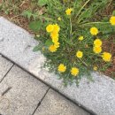 단단출판사