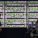 아라비아푸드 디지털타임스