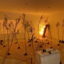 멍스토어 이미지