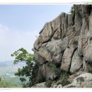 버스정류장 07-252 Daum카페
