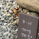 비바봉성 | [캠핑후기⛺️⛺️] 드디어 봉화별의 계절이 왔고요? 2024 봉화별캠핑장(1)