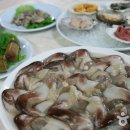 충남회센타