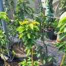 별샘농장 이미지