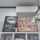 클라라아이래쉬