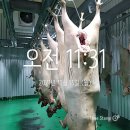 소신흑염소 이미지