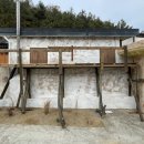 소동느티나무 이미지