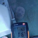 묵호시장 이미지