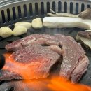 박현지토종한우 티스토리