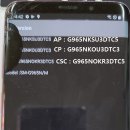 1234피시 이미지