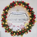 거북이 타코야끼 | 후쿠오카 아이랑 함께 여행 _ 마린월드 우미노나카미치 돌고래쇼 후기