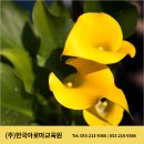 아로마와 색채심리 이미지
