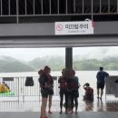 진고집 동해 동태탕 이미지