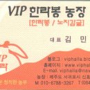 혼글