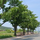 우륵문화마당 이미지