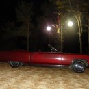 엘도라도 이미지