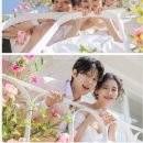 메종드벨라웨딩