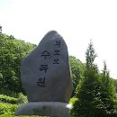 석모도수목원 이미지