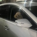 컴포즈(안하점)