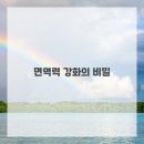 부산하나이비인후과 네이버블로그