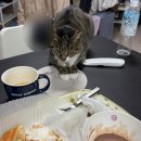 씨유 용인현대점 | 아무 것도 아닌 건 아무 것도 없댔어