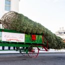(주)트리슨 네이버블로그
