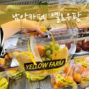 도담에그팜 | 남악 카페 프리미엄 과일카페 옐로우팜