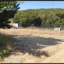 초부4리 이미지