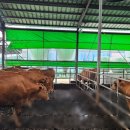 김춘식농장 이미지