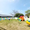 나무와새어린이집 이미지