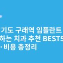 지오치과의원 | 경기도 구래역 임플란트 싸고 잘하는 치과 추천 BEST5 | 가격·비용 총정리
