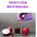 [양파즙 추천] 혈관 건강이 고민이라면? 무안자색양파과채주스 실체 후기 공개!
