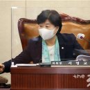 서영교 카카오 검색결과