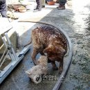 의리농장 이미지