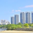 청춘복덕방공인중개사사무소 이미지