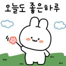 살랑바람부는날의햇살아래