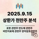 그린자동차정비공업(주) | 25.9.15. 상한가 천만주 분석 ( 6 + 13 종목)