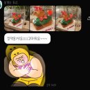고양시 화정레터링케이크 토리케쿠 크리스마스 단체선물 후기