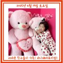 경주 아이랑 실내 가볼 만한 곳 바니베어뮤지엄 내돈내산 후기