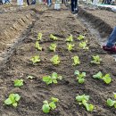 금천농장 이미지