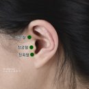 브레인짐