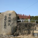 심온