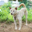 금골농장 이미지